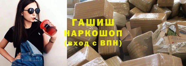 шишки Лабытнанги