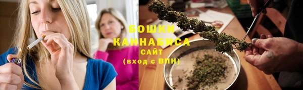 шишки Лабытнанги