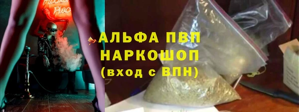 шишки Лабытнанги