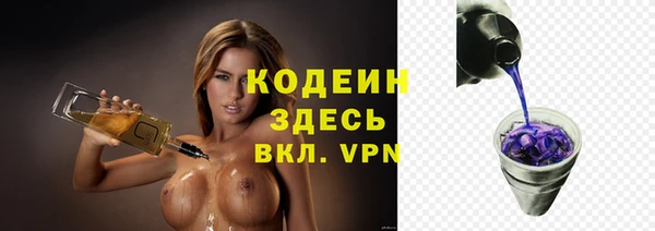 шишки Лабытнанги