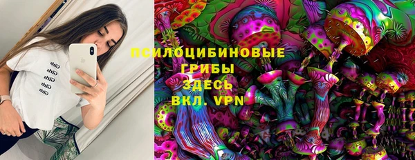 шишки Лабытнанги