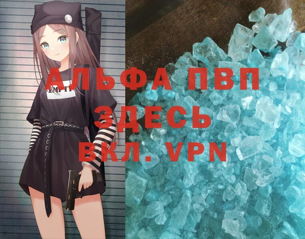 шишки Лабытнанги