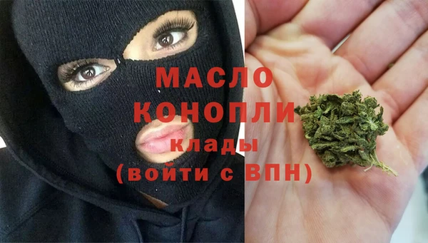 шишки Лабытнанги