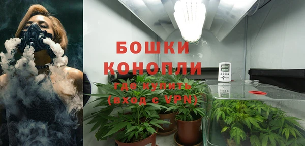 шишки Лабытнанги