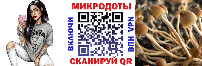 Галлюциногенные грибы Magic Shrooms  купить наркотик  Михайловка 