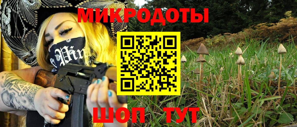 Михайловка  Псилоцибиновые грибы прущие грибы  где купить наркотик  Вход с VPN 